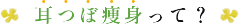 耳つぼ瘦身って？